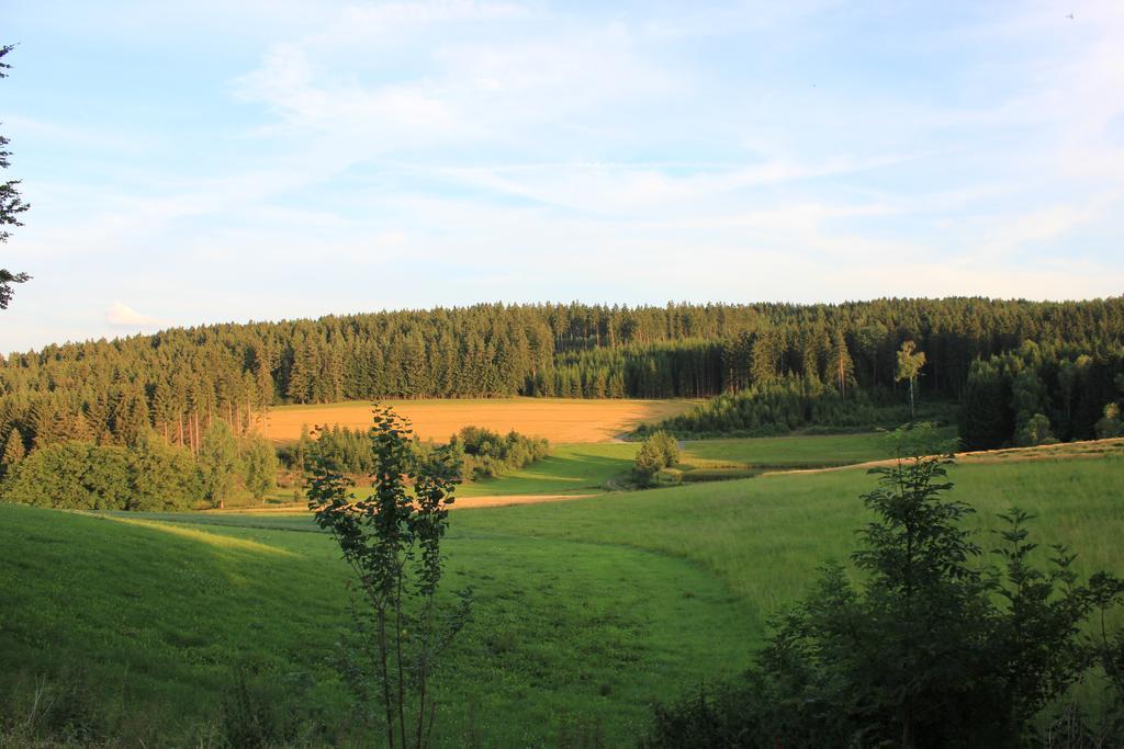 Landgasthof Haueis Marktleugast Luaran gambar