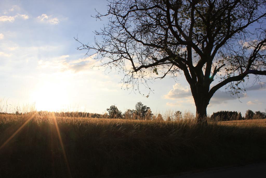 Landgasthof Haueis Marktleugast Luaran gambar